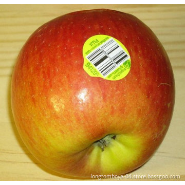 Wholesales Customized Fruit Self-Adhesive Label